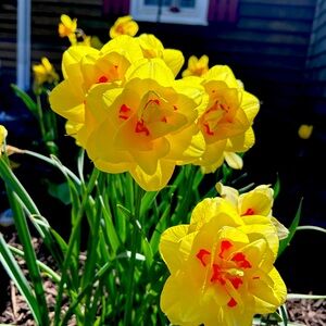 Meet your Posher, Ela